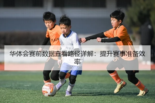 华体会赛前数据查看路径详解：提升赛事准备效率