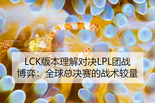 LCK版本理解对决LPL团战博弈：全球总决赛的战术较量