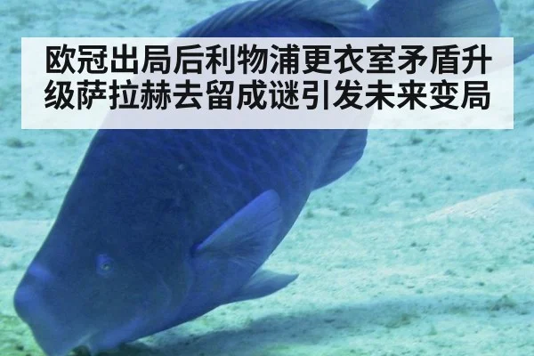 欧冠出局后利物浦更衣室矛盾升级萨拉赫去留成谜引发未来变局